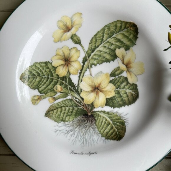 Royal Vale Primula Vulgaris Collector Plate Botanical Pattern Made in England - Picture 2 of 10